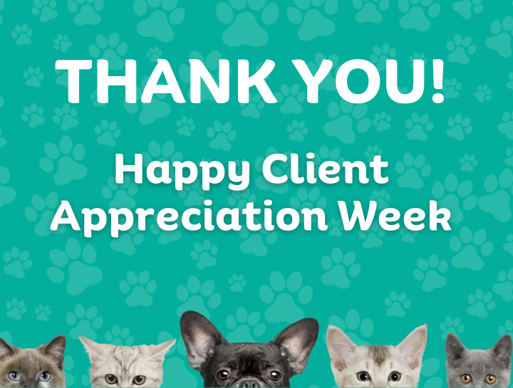 Client Appreciation Week South Mountain Pet Care Client appreciation week south mountain pet care